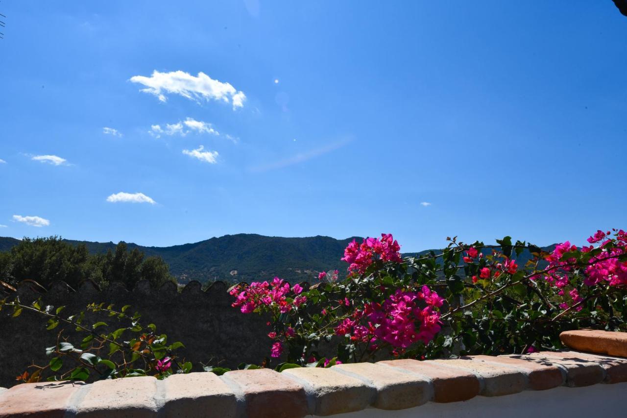 Bentosa Villa Enas Ngoại thất bức ảnh